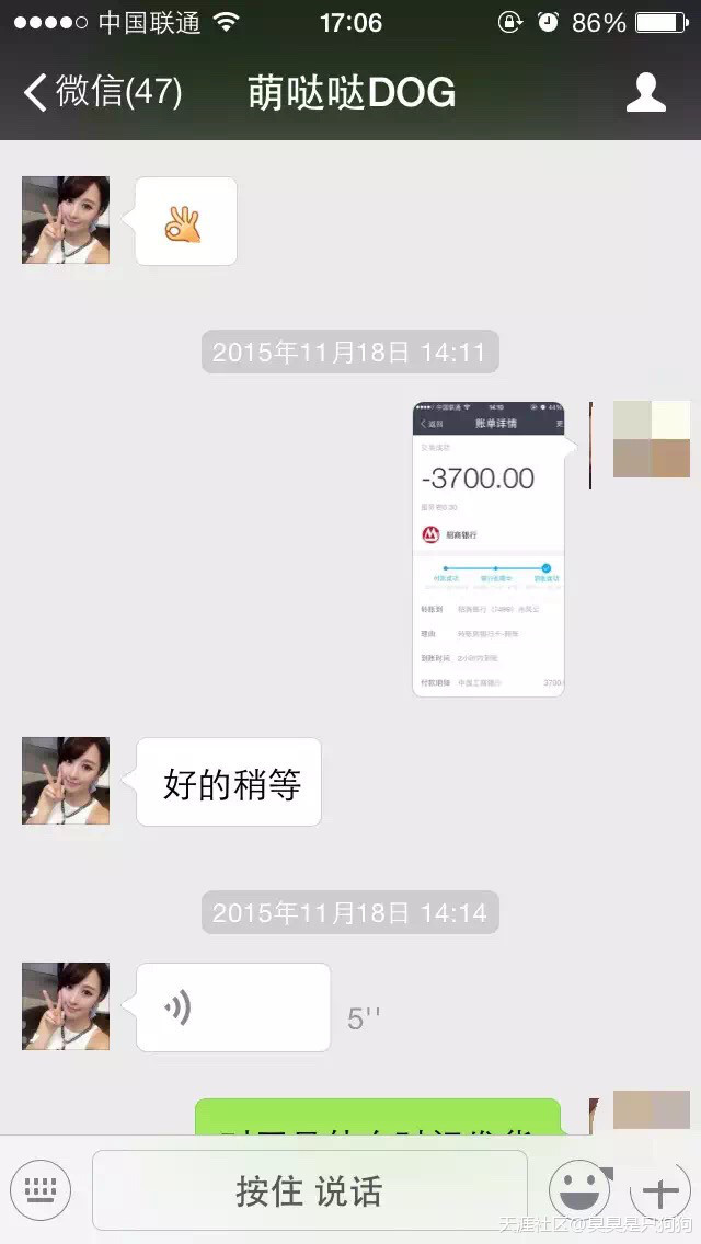 手机版的比格:扒一扒我在网上买狗被骗的经历，希望不要再有人上当受骗   科基变比格