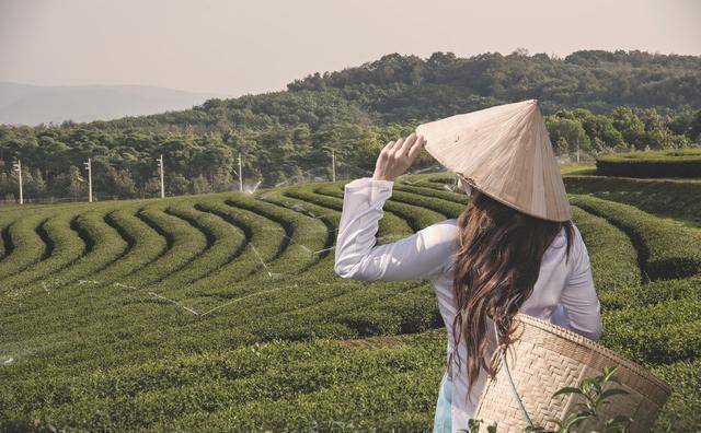 越南语版中文翻唱小苹果:我也想成为李子柒、阿木爷爷：海漂网红难“造梦”