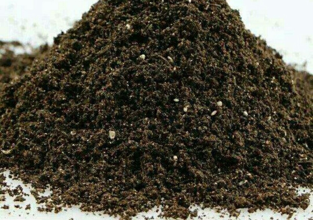 泥炭客户端客户端软件下载-第2张图片-亚星国际官网