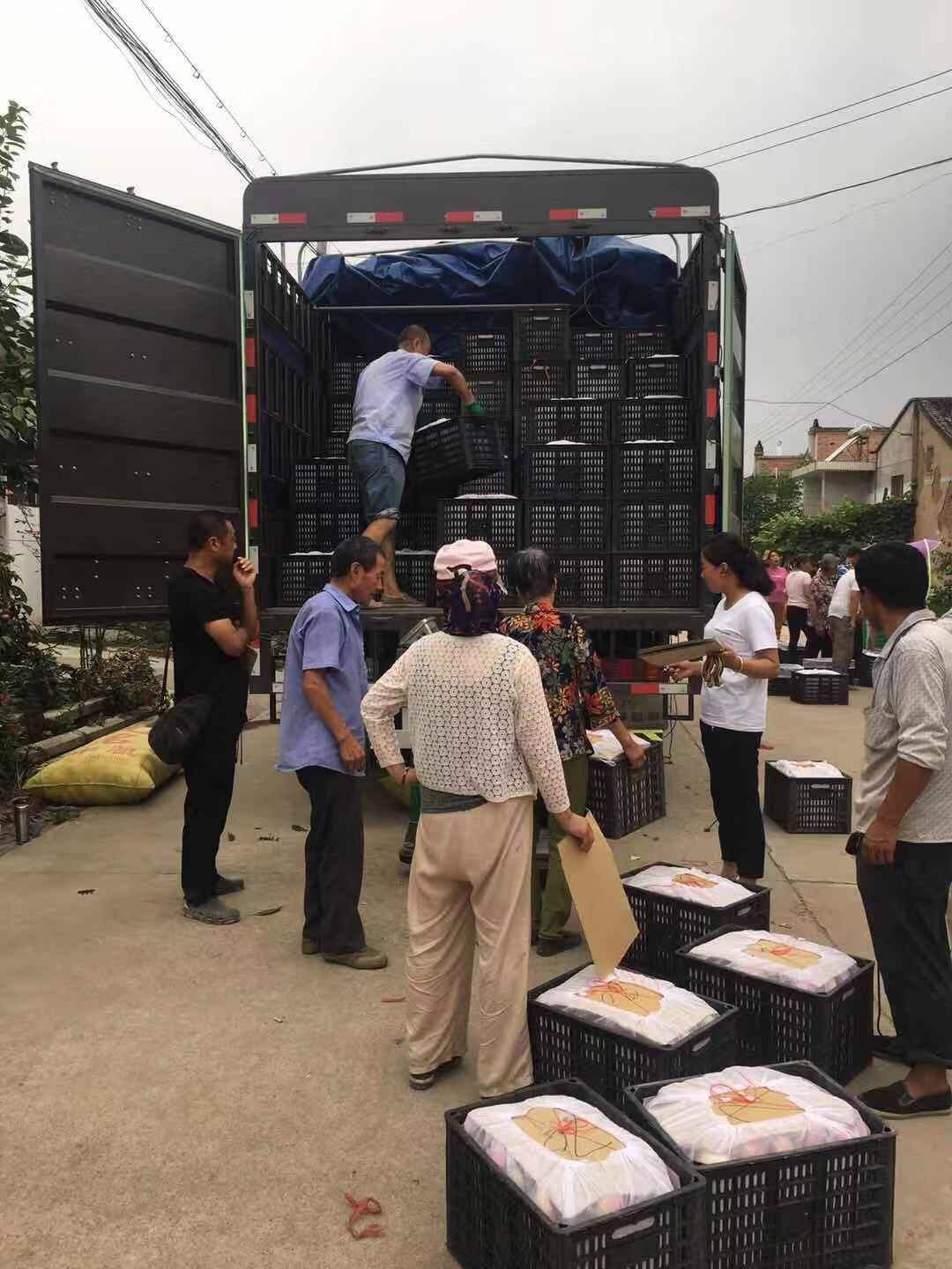 凤翔新闻苹果凤翔新闻网最新消息