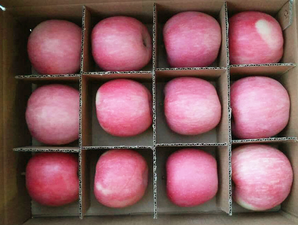 静宁苹果快递新闻今年静宁苹果最新价格