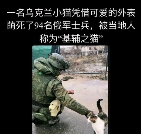 关于沙雕新闻网站推荐下载苹果的信息