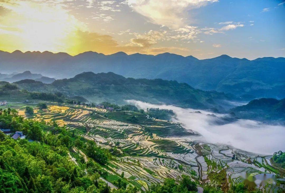 酉阳新闻手机版酉阳县新闻联播昨天-第2张图片-亚星国际官网