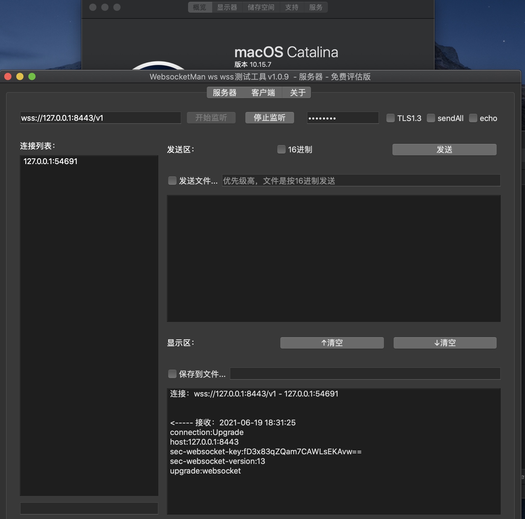 js客户端检测jswebsocket服务端