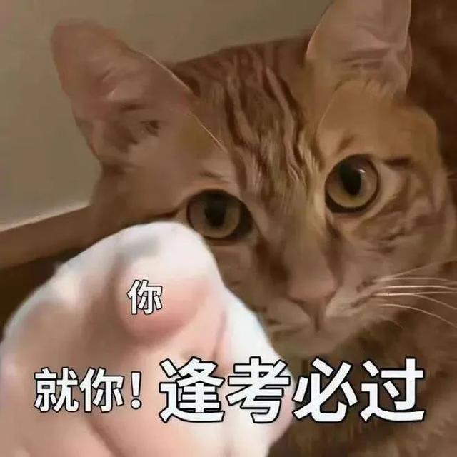澎湃新闻客户端注册入口澎湃新闻24小时热线-第10张图片-亚星国际官网 澎湃新闻客户端注册入口澎湃新闻24小时热线-第10张图片-亚星国际官网