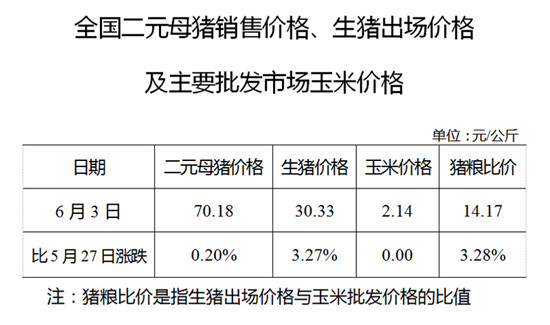 中国养猪网-手机版中国养猪网今日猪价网平台