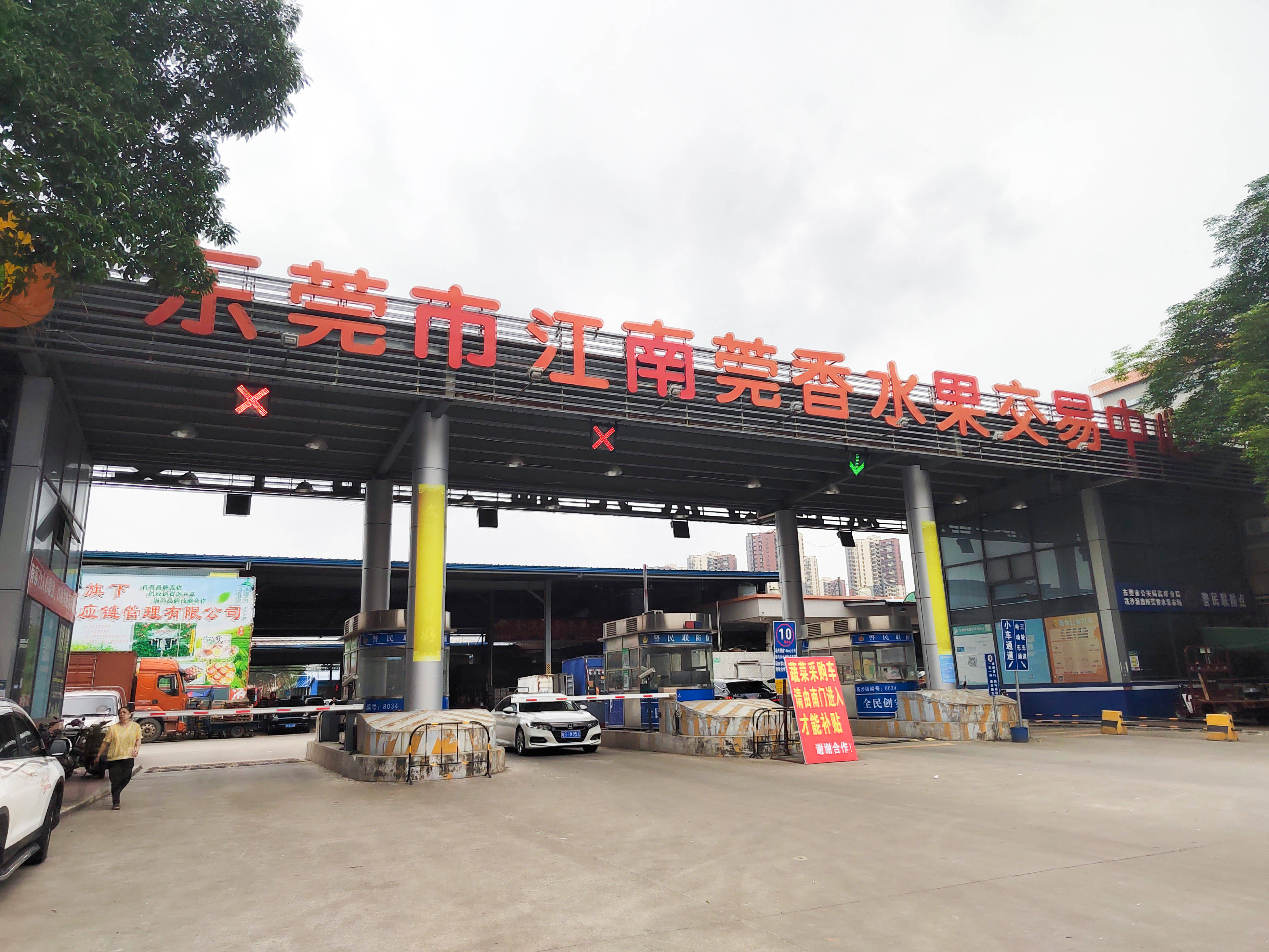 苹果版及时雨传奇及时雨辅助官网