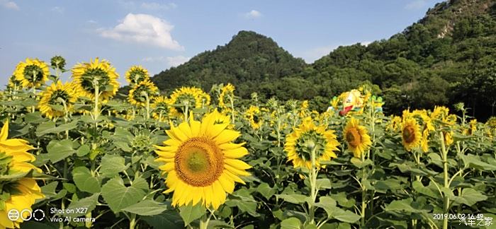 AlCam软件苹果版artcam软件免费下载中文版