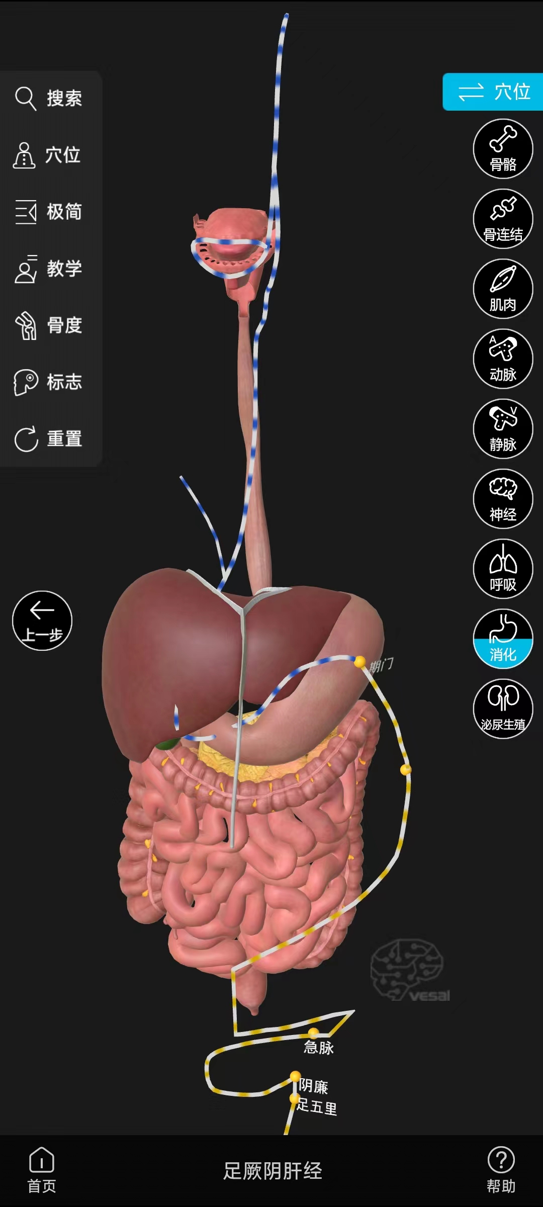人体解剖手机版3d解剖人体解剖app