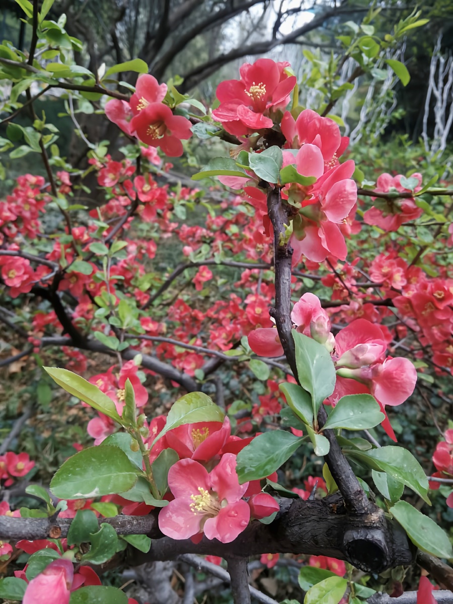 春潮播放器手机版(春潮播放器手机版下载)-第5张图片-QuickQ官网 春潮播放器手机版(春潮播放器手机版下载)-第5张图片-QuickQ官网