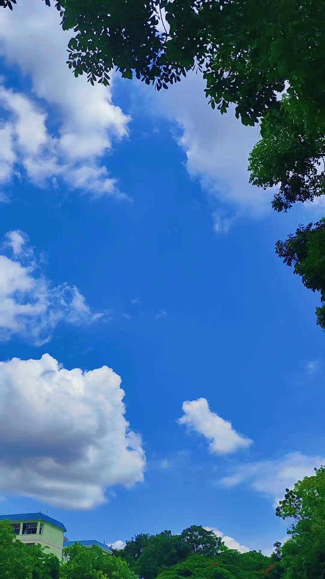 华夏天空手机版(华夏ONLINE手机版)