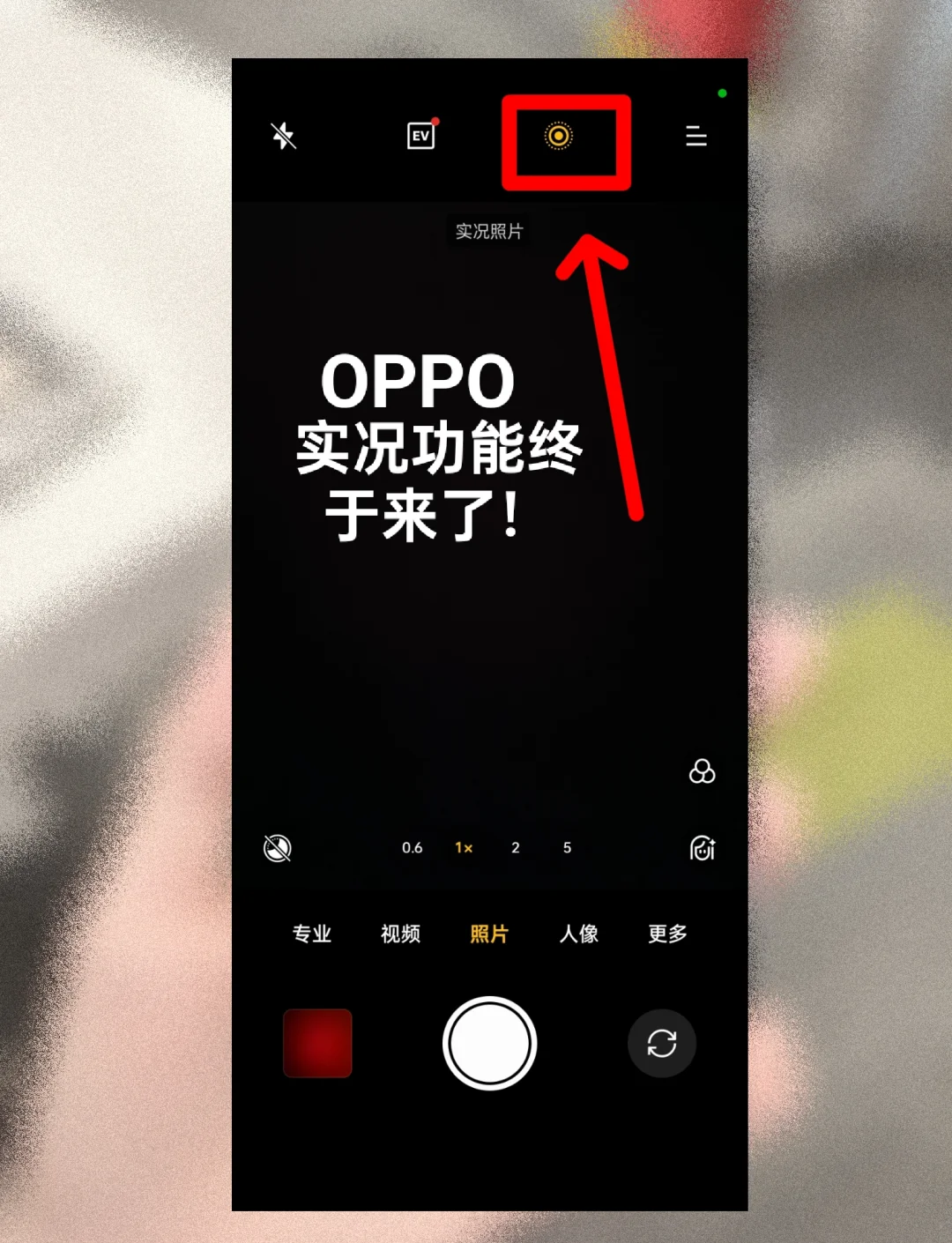 照片打字软件手机版(照片打字软件手机版免费)-第2张图片-QuickQ官网